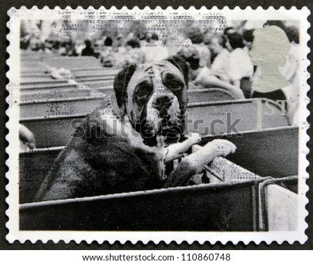 UNITED KINGDOM - CIRCA 2001: A stamp printed in Great Britain shows Boxer at Dog Show, circa 2001