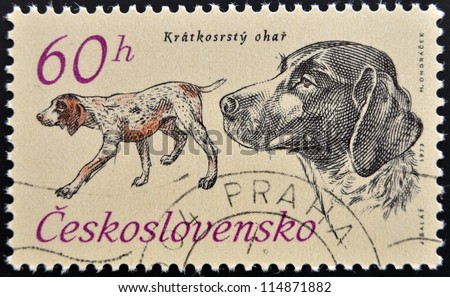 CZECHOSLOVAKIA - CIRCA 1973: A stamp printed in Czechoslovakia shows a Shorthaired Pointer from the series \