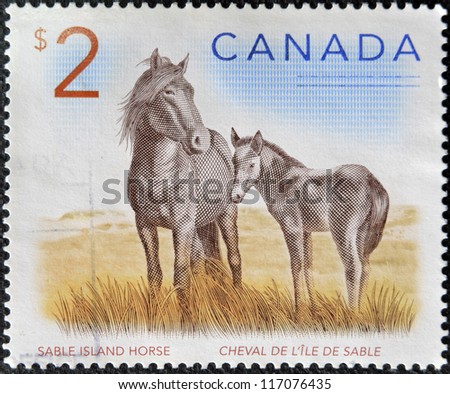 CANADA - CIRCA 2005: A stamp printed in Canada shows two sable island horses ,circa 2005