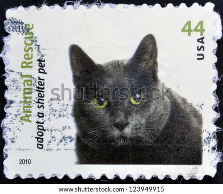 UNITED STATES OF AMERICA - CIRCA 2010: A stamp printed in USA dedicated to animal rescue, adopt a shelter pet, shows a cat, circa 2010