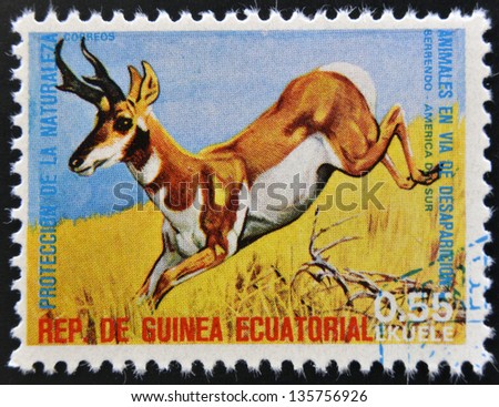 EQUATORIAL GUINEA - CIRCA 1974: Stamp printed in Guinea dedicated to endangered animals, shows Pronghorn, South America,  circa 1974