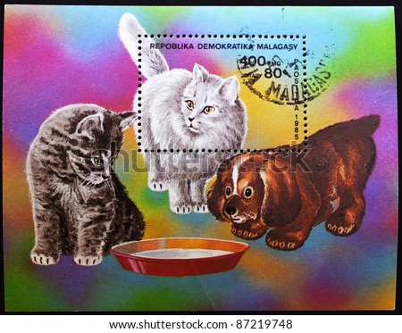MADAGASCAR - CIRCA 1985: A stamp printed in Madagascar shows a cat, circa 1985