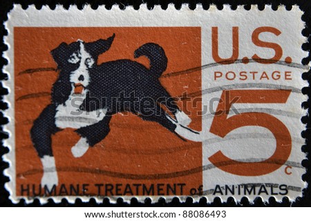 UNITED STATES OF AMERICA - CIRCA 1966: A stamp printed in USA shows Mongrel dog, humane treatment of all animals, circa 1966