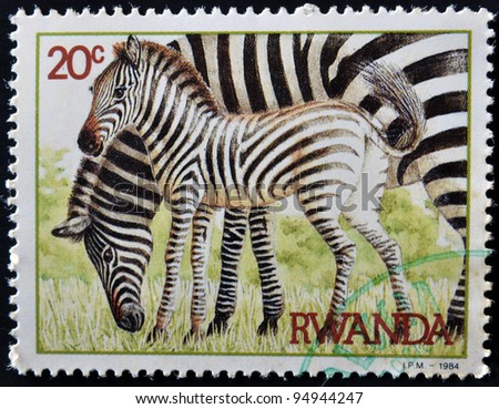RWANDA - CIRCA 1984: A stamp printed in Rwanda shows two zebras, circa 1984