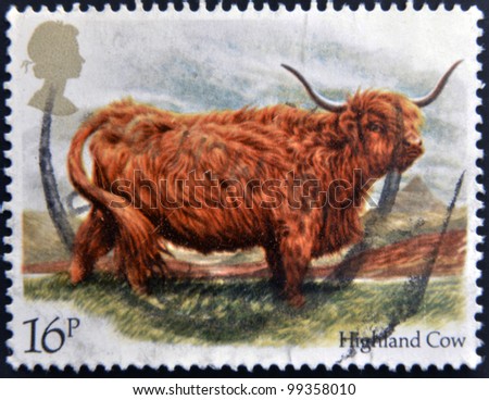 UNITED KINGDOM - CIRCA 1983: A stamp printed in Great Britain shows highland cow , circa 1983