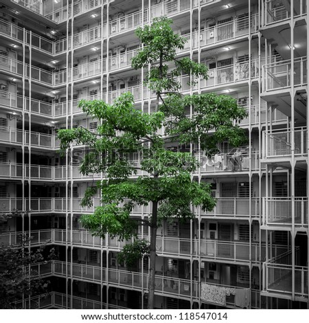 Green Isolated Trees inside Sai Wan Estate, one of the oldest  public housing estate in Hong Kong