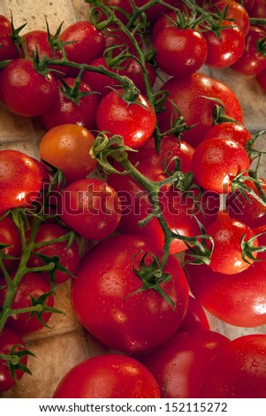 The tomato (Solanum lycopersicum)  is a herbaceous, usually sprawling plant in the Solanaceae or nightshade family that is cultivated to harvest its fruit for human consumption.