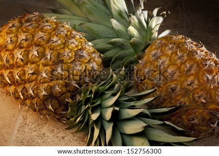 The Pineapple is a large juicy tropical fruit of aromatic edible yellow flesh surrounded by a tough segmented skin and topped with a tuft of stiff leaves. The only bromeliad in widespread cultivation.