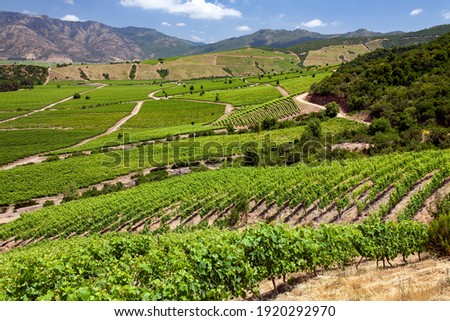 Image, Stock Photo Rural landscape near Santa maria Nuova and Osimo, Marche, Italy