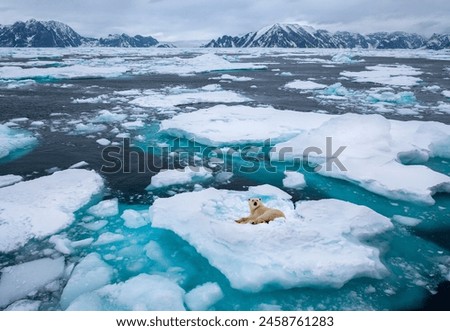 Similar – Foto Bild Ab ins Meer Gesundheit