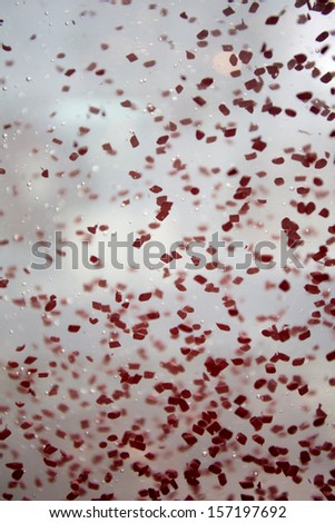 Red particles floating and falling into the water. Abstract red and white background