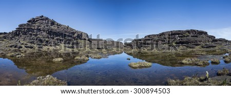Landscape at the top of Mount Roraima in the morning with blue sky. Black volcanic stones, water and endemic plants. Gran Sabana. Venezuela 2015.