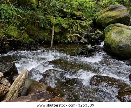 Rapids along a rocky stream - \