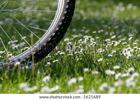 Summer park lea and fragment of bicycle wheel as a concept for health and sport