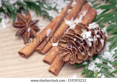 Cinnamon sticks and pine cones with snow / winter time