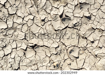 parched ground Background / parched ground