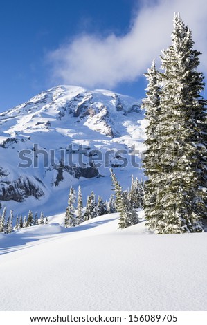 Mount Rainier as seen from the Paradise area in winter; Mount Rainier National Park, Washington State