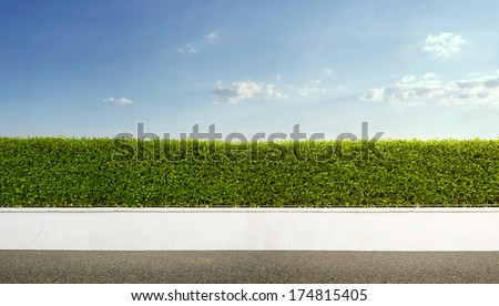 Image, Stock Photo Green hedge with blue sky and trees on the background, closeup of a hedge home garden in the summer nature