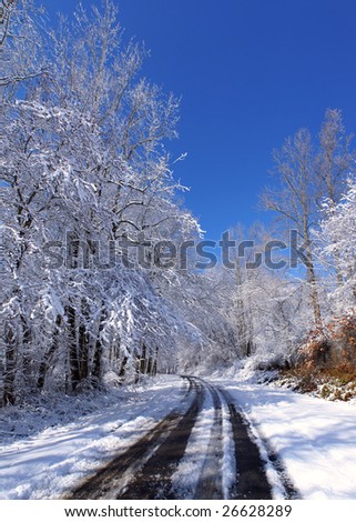 Detailed 27 Mega pixel image of a country road after an early snow. Tire marks and the bright sunlight increase the beauty of this scenery.