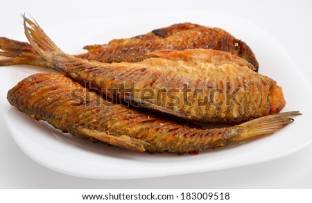 Fried river fish with the cutting back. On white plate.