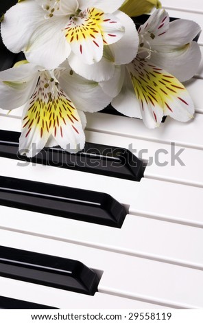 piano and flowers