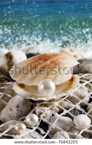 Shell with pearl on the beach