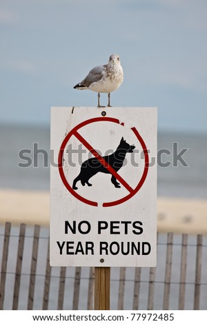 No Pets Year Round