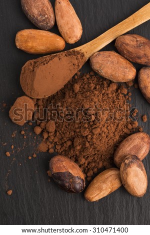 cacao beans and cacao powder in spoon