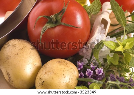 fresh herbs, vegetables, salt and mezzaluna. isolated on the white background