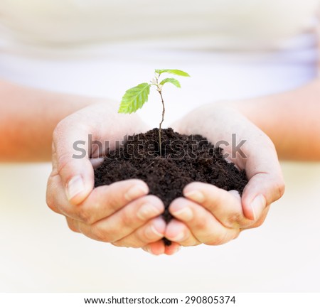 hands holding little plant in soil