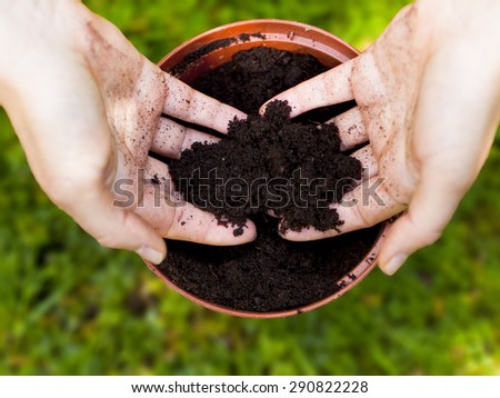 gardening concept, hands in soil