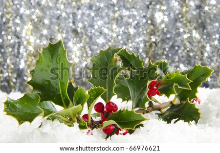 Holly with red berries in snow with sparkling background