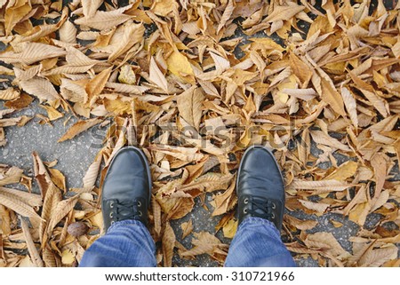 autumn shoes and leaves
