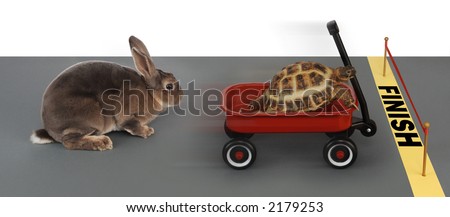 turtle winning the race against a rabbit in a red wagon