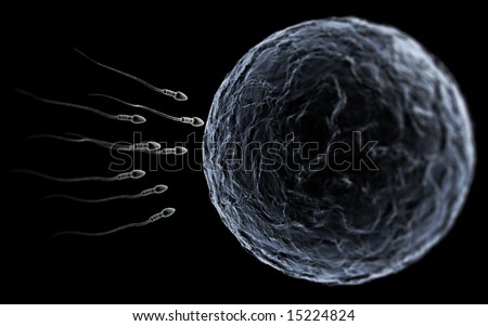 Sperm Swimming Toward The Egg At A Microscopic Zoom Over Black Stock ...