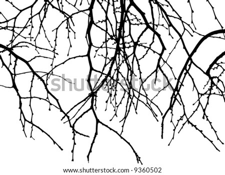 Falling Branch Of Tree Stock Vector Illustration 9360502 : Shutterstock