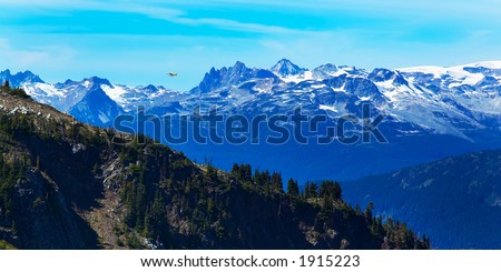 A plane flying over Blackcomb Mountains and pine trees. More with keyword group14l