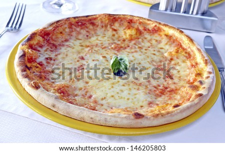classic margarita pizza on the table