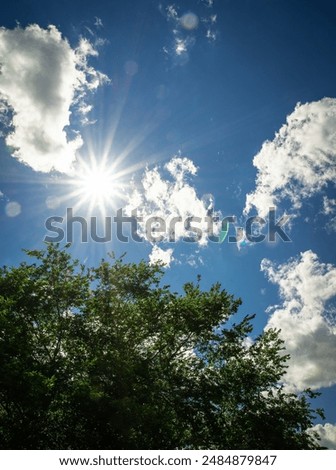 Similar – Image, Stock Photo Fair weather clouds in front of a blue sky and a small section of a red tiled roof with a parabolic antenna / satellite dish / football transmission
