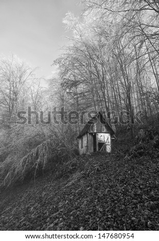 winter and cottage black and white photography