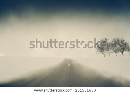 road and winter landscape