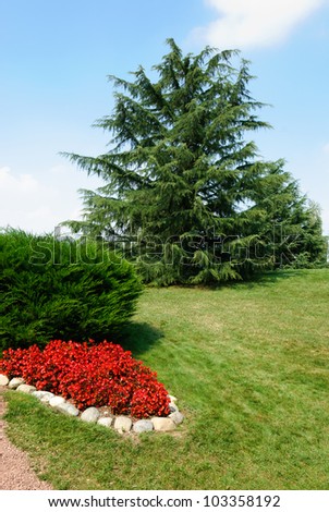 garden with lawn flower and trees