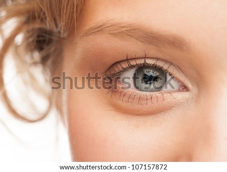 Close-up shot of woman eye with beautiful makeup looking at camera