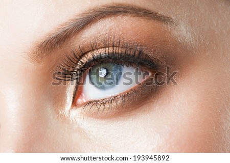Closeup of woman eye with beautiful makeup with brown eyeshadows
