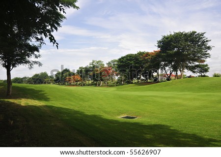 Line of trees in a beautiful golf course in the Philippines