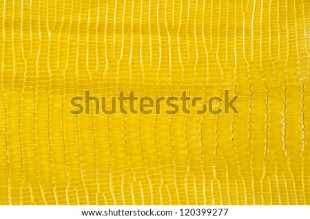 Reptile exotic leather, close-up of texture background