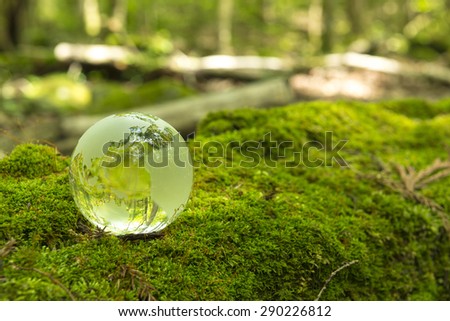 Forest and a transparent globe