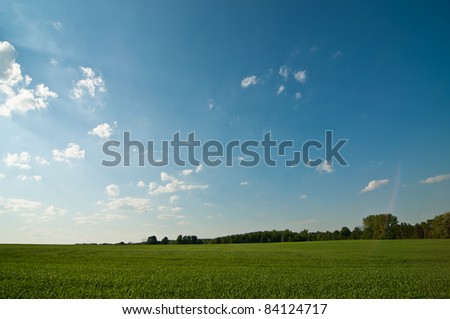 A green farm field stands in the sun with trees behind it and a blue sky with puffy white clouds.