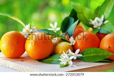 orange fruits and flowers on table