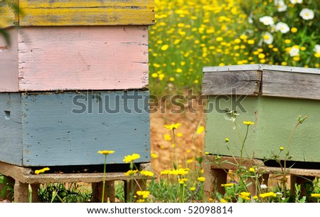 Bee houses at Portugal.